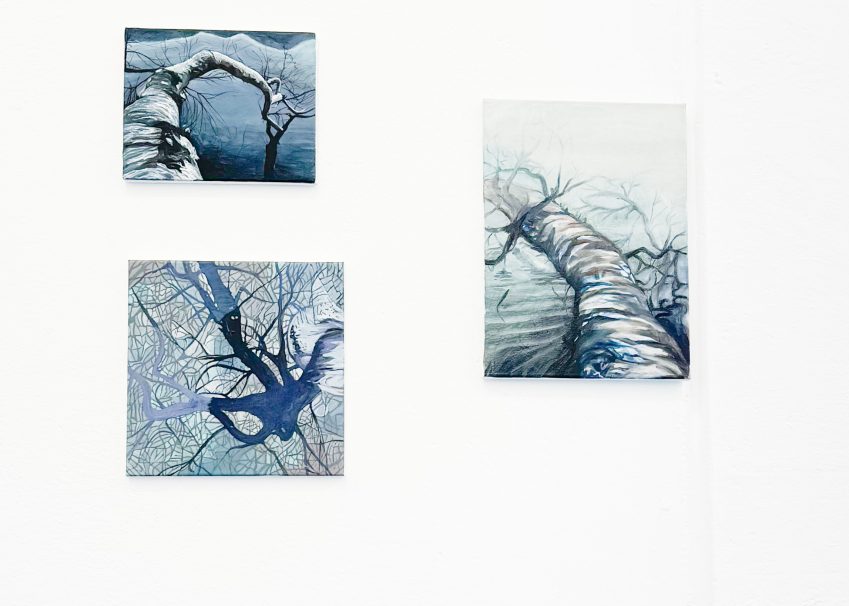 6066B989-CB53-4D25-BA8F-24215013DC2D