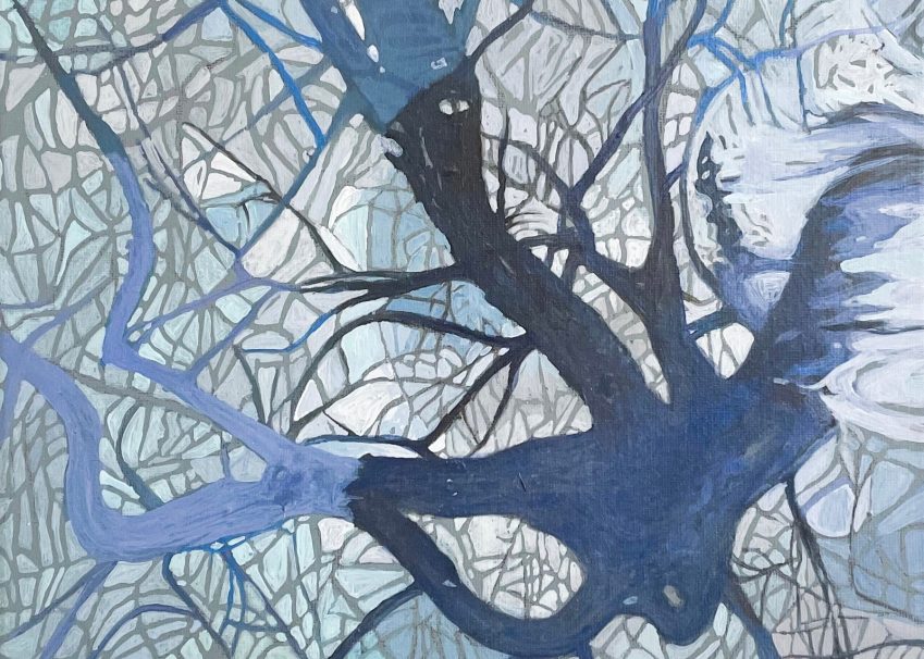 Greiner roter nervar og arer. 2024